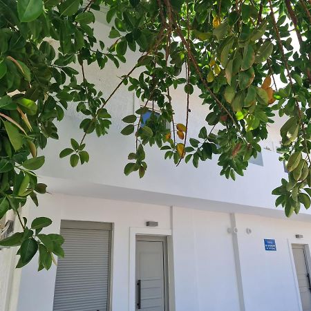 Sarri Appartments Amoudara Lasithiou Eksteriør bilde